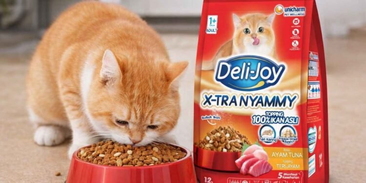 Jangan Asal Pilih! Ini Rekomendasi Dry Food Kucing Bernutrisi Tinggi