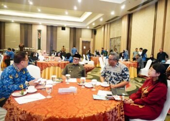 Wujudkan Target SDGs 2030, Bangun Sinergi Multipihak