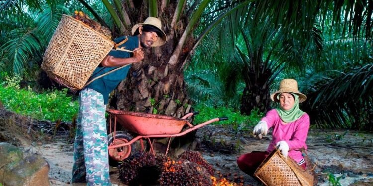 Peringati Hari Krida Pertanian, Holding Perkebunan Nusantara melalui PTPN IV PalmCo Serap 1,34 Juta Ton TBS Petani