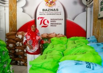HUT ke-81 RI, BAZNAS Salurkan 1.796 Paket Bahan Pokok untuk PPPK-PW